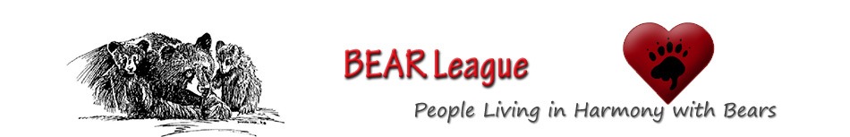 The Bear League